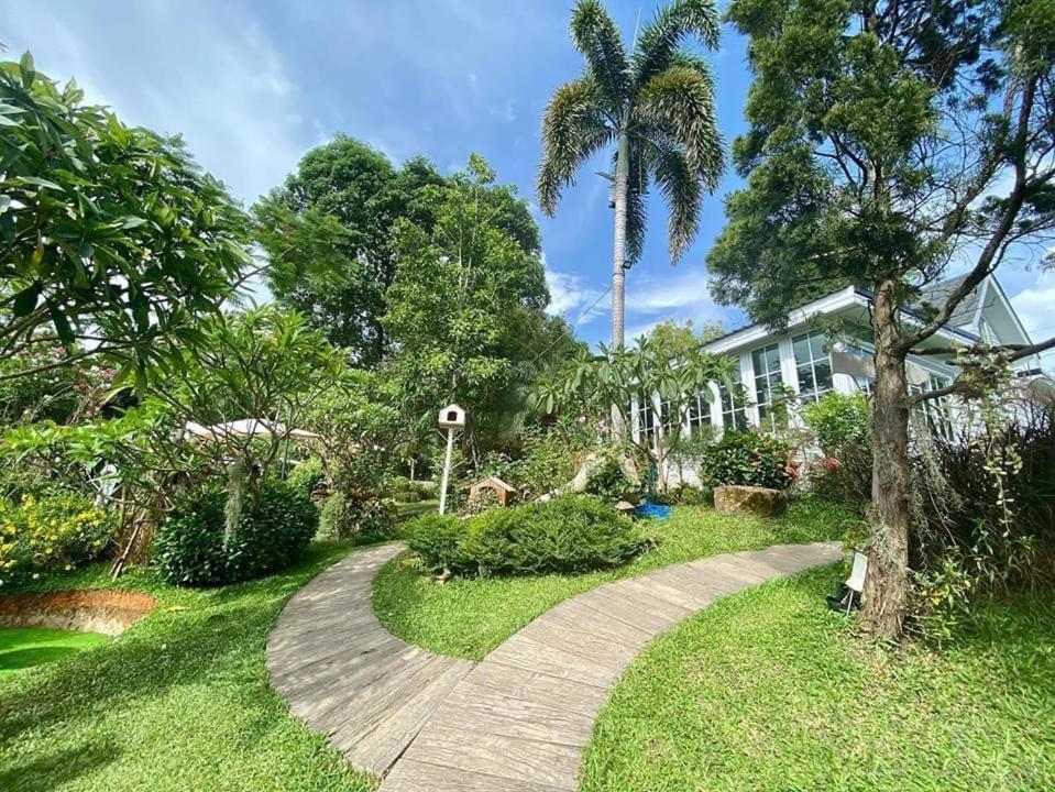 Baan Jaokorkluay บ้านเจ้ากอกล้วย Чіанграй Екстер'єр фото